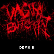 Demo II