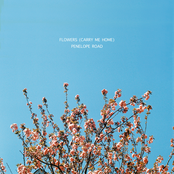 Penelope Road: Flowers (Carry Me Home)