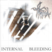Internal Bleeding