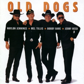 Old Dogs by Old Dogs