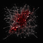 A Taste of Salt and Steel