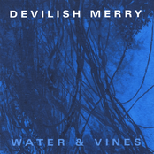 Water and Vines