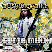 Vonwolfgangdonchucknice by Bushwick Bill