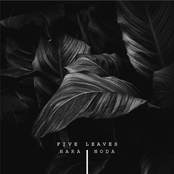 Five Leaves