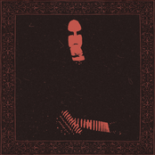 Renaissance From A Bitter Twilight