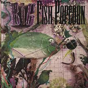 Big Fish Popcorn