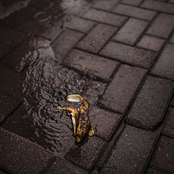 Luke Callen: Below Your Knows