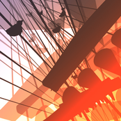 Birds For The People