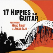 17 hippies (featuring marc ribot & jakob ilja)