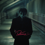 Spirits of Leo: Patience