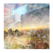 Viva La Vida - Single