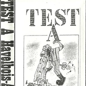 Havelbois-Attack Demo