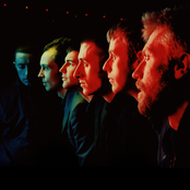 the cinematic orchestra