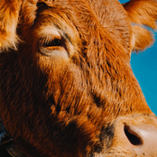 Come sbagliare di meno - EP