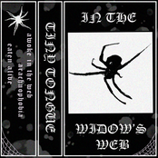 In The Widow's Web