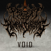 Void