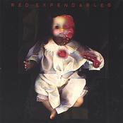 Only Asking by Red Expendables