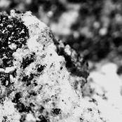 A Pregnant Light/Deeper Wells split tape