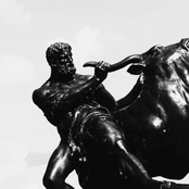 הלב על הפלנצ׳ה