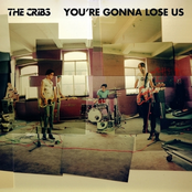 You're Gonna Lose Us by The Cribs