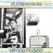 My Coo Ca Choo by Beasts In Cages