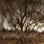 I Could Sleep For Ever