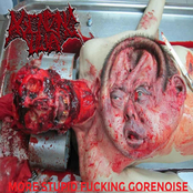 More Stupid Fucking Gorenoise