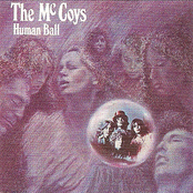 Stormy Monday Blues by The Mccoys