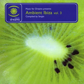 Ambient Ibiza Vol.3