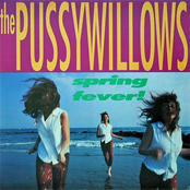 Pussywillows