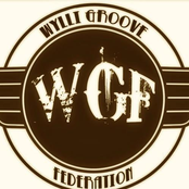 wylli groove federation