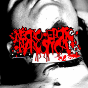 necro-erotic narcotica