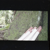 First conversations (Steel and Tine)