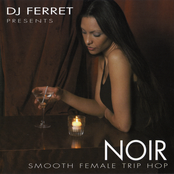 DJ Ferret Presents: Noir - Smooth Female Trip Hop