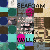 Standing Too Close To The Elephant In The Room