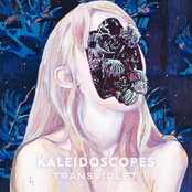 Transviolet: Kaleidoscopes