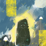 Subtropical Night