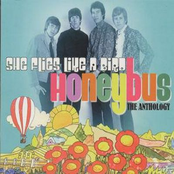 She Flies Like a Bird: The Anthology Disc 2