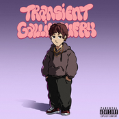 Transient Gallimaufry