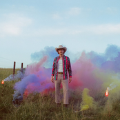 Drumming Bird: Roadkill Poetry