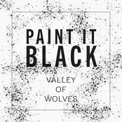 Paint It Black