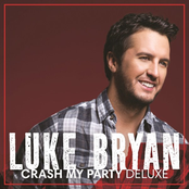 Roller Coaster by Luke Bryan