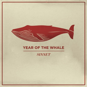 Sinnet: Year of the Whale