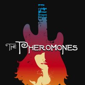 the pheromones