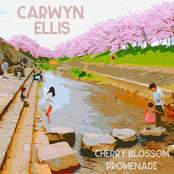 Cherry Blossom Promenade