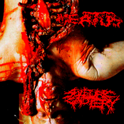 RAW GORE MASSACRE (MEATUS SPLIT)