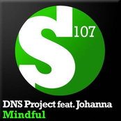 dns project feat. johanna