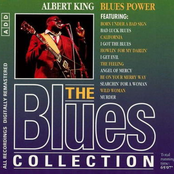 The Blues Collection 26: Blues Power