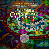 Caminando a Wirikuta