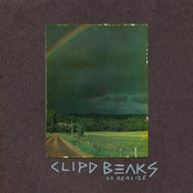 Visions by Clipd Beaks